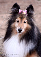 March 2013- Jazzy (with Easter bows)