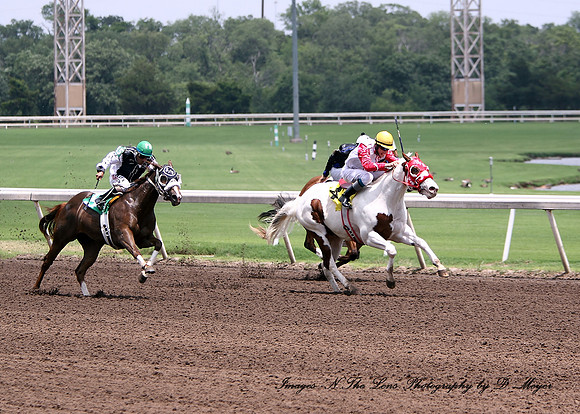(MX) Maiden Claiming $7,500