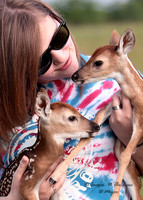 Natalie and Wild Fawns