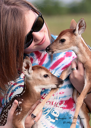 Natalie and Wild Fawns