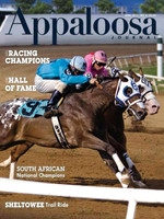 PUBLICATIONS