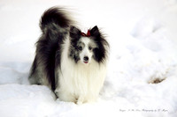 My Kids in the snow