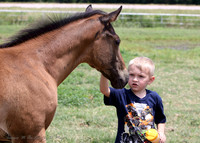 Toddler to Toddler