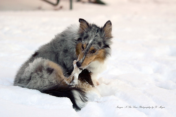 My Kids in the snow