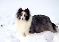 My Kids in the snow