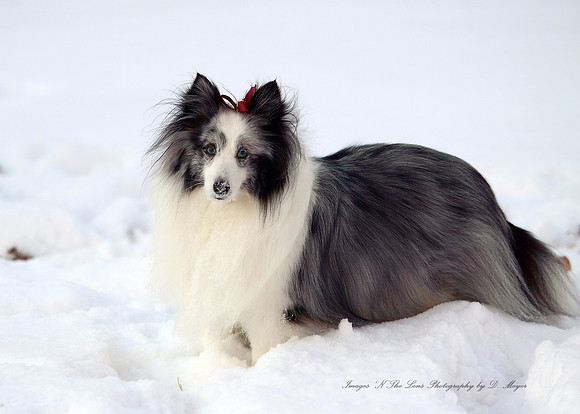 My Kids in the snow