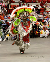 Red Earth Cultural Festival - 2012 - OKC, OK