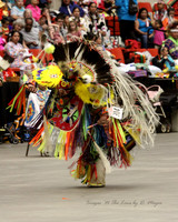 Red Earth Cultural Festival - 2012 - OKC, OK
