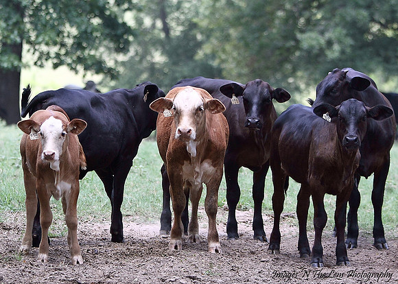 1396