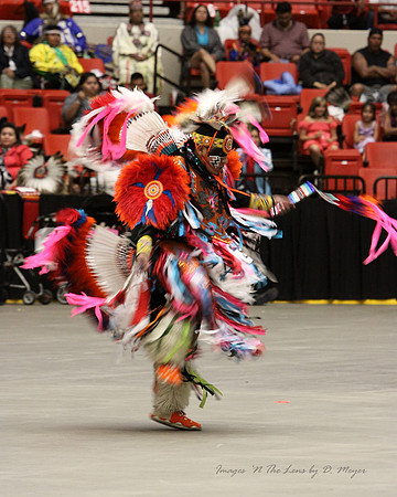 Red Earth Cultural Festival - 2012 - OKC, OK