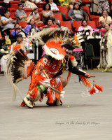 Red Earth Cultural Festival - 2012 - OKC, OK