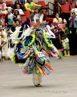 Red Earth Cultural Festival - 2012 - OKC, OK